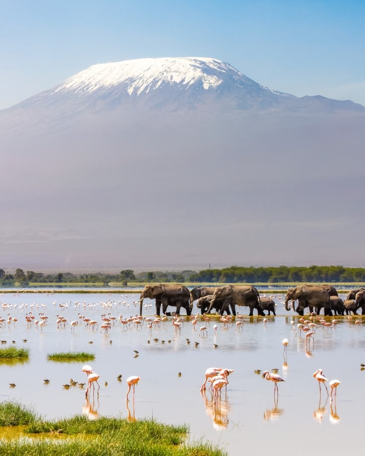 Lake Nakuru