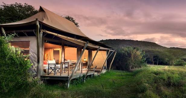 Maasai Mara Safari