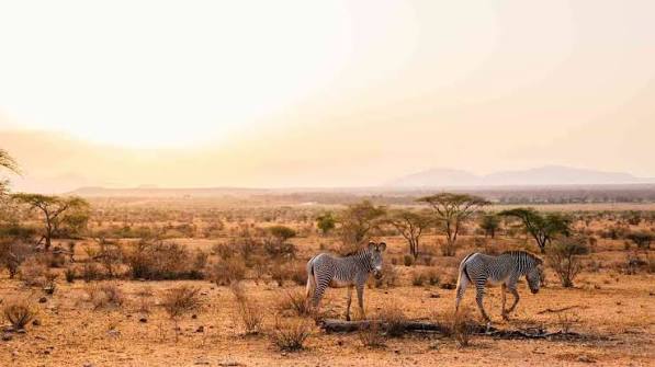 Samburu National Reserve