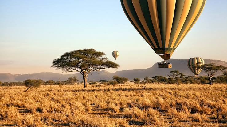 Kenya and Tanzania