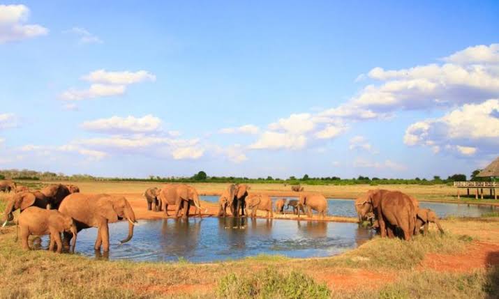 Tsavo National Park